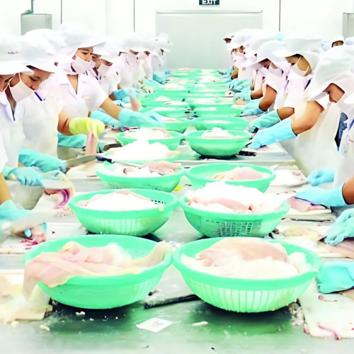 Cần Thơ Cam Kết Đồng Hành Cùng Doanh Nghiệp