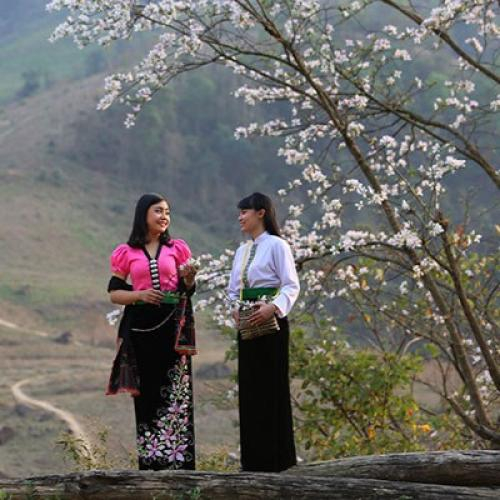 Lễ Hội Hoa Ban Điện Biên