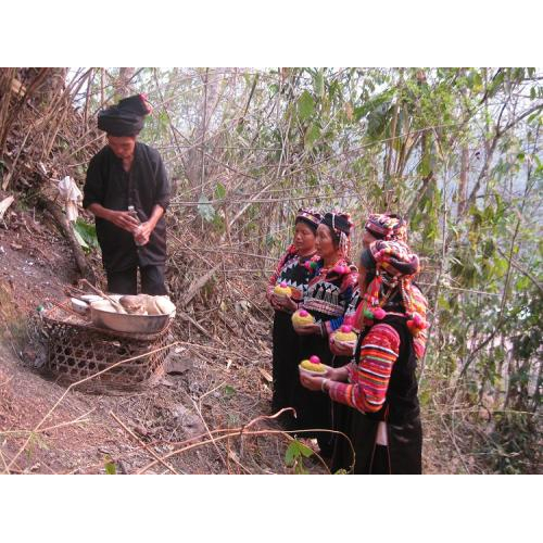 Lễ Gạ Ma Thú