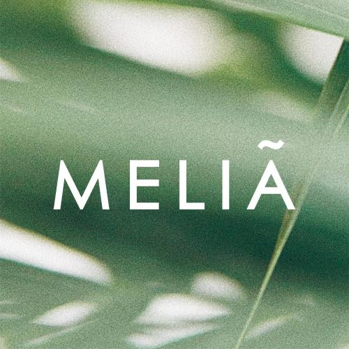 Meliá Vinpearl Hue