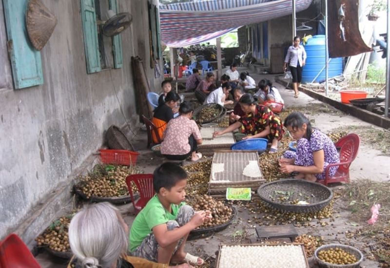 Trải nghiệm khi đến thăm