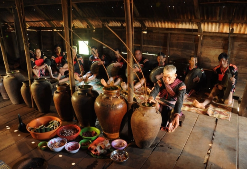 Giới thiệu