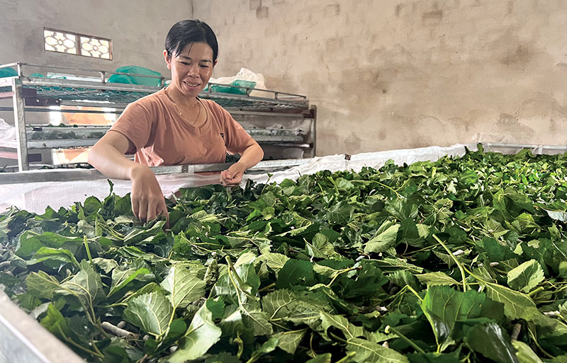 Lịch sử hình thành
