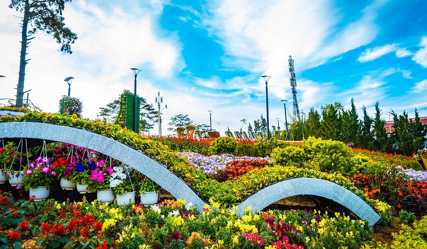 Giới thiệu chung về lễ hội hoa ở Đà Lạt