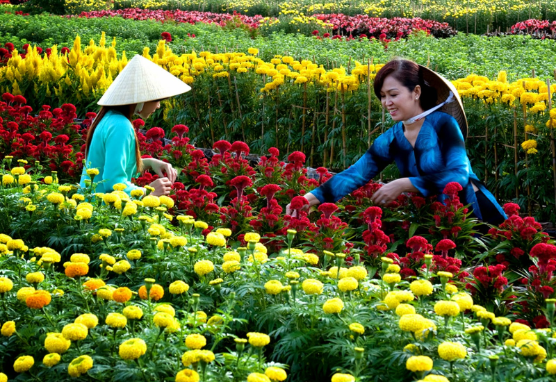 Giới thiệu