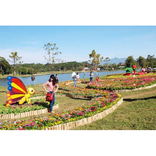 Lễ hội hoa ở Đà Lạt có gì?