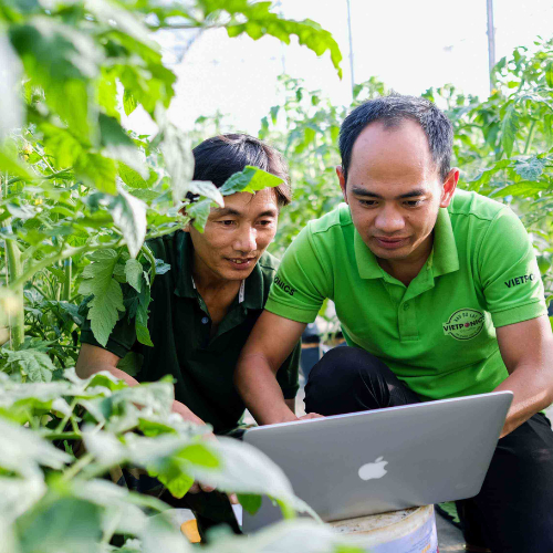 Lâm Đồng Triển Khai Công Tác Chuyển Đổi Số