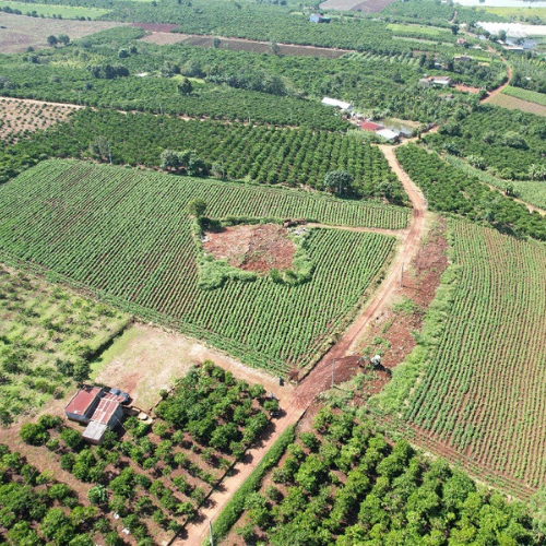 Dự Án: LakeView Phúc Thọ