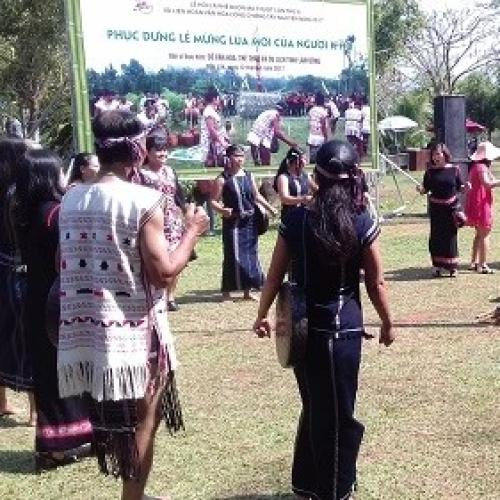 Lễ Hội Mừng Lúa Mới Của Dân Tộc K’ho