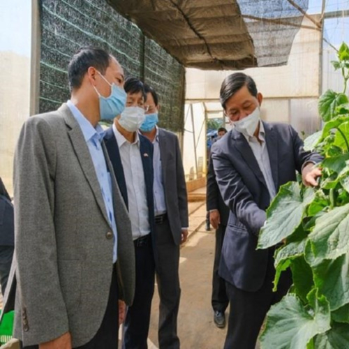 Lâm Đồng Phát Huy Hiệu Quả Từ Các Chính Sách Hỗ Trợ Doanh Nghiệp Phát Triển