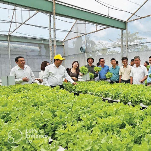 Lâm Đồng Hỗ Trợ Doanh Nghiệp Nhỏ Và Vừa Trong Lĩnh Nông Nghiệp
