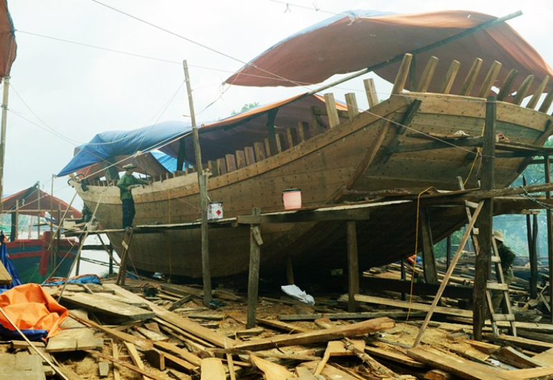Lịch sử và phát triển