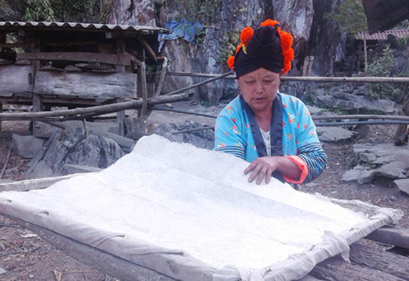 Lịch sử hình thành