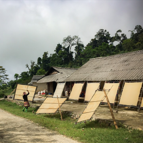 Làng Nghề Làm Giấy Của Người H’Mông