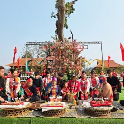 Lễ Hội Hết Chá
