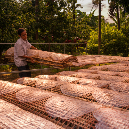 Làng Nghề Bánh Tráng Cù Lao Mây