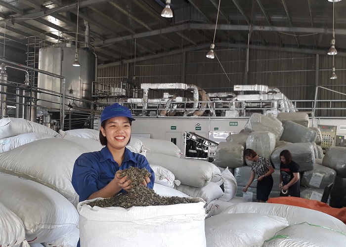 Đồng hành cùng doanh nghiệp phát triển