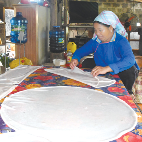 Làng Nghề Làm Bánh Phở Mã Cai
