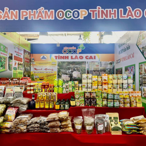 Lào Cai Quan Tâm Hỗ Trợ Doanh Nghiệp, Người Dân Chuyển Đổi Số, Ứng Dụng Thương Mại Điện Tử
