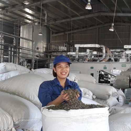 Lào Cai: Kết Quả Tích Cực Hỗ Trợ Doanh Nghiệp Nhỏ Và Vừa