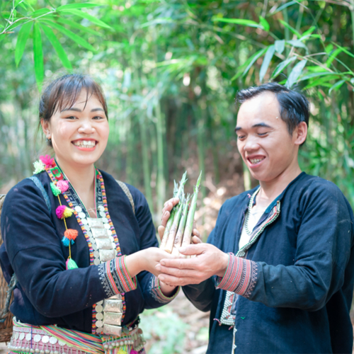 Hỗ Trợ Chuyển Đổi Số Cho Doanh Nghiệp Nhỏ Và Vừa Tỉnh Lào Cai, Sơn La