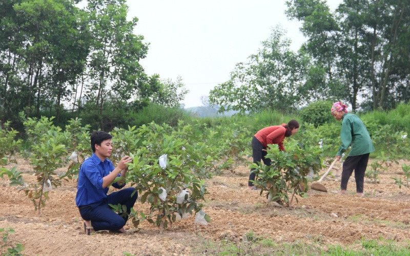 Thanh niên Hà Tĩnh tiên phong khởi nghiệp, xây dựng nông thôn mới