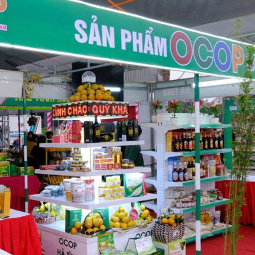 Thành Phố Hà Tĩnh Xúc Tiến Tham Gia Hội Chợ Thương Mại Sản Phẩm OCOOP 2024