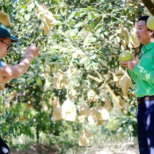 Triển Khai Chính Sách Hỗ Trợ Chuyển Đổi Số Cho Doanh Nghiệp Nhỏ Và Vừa Ở Hà Tĩnh