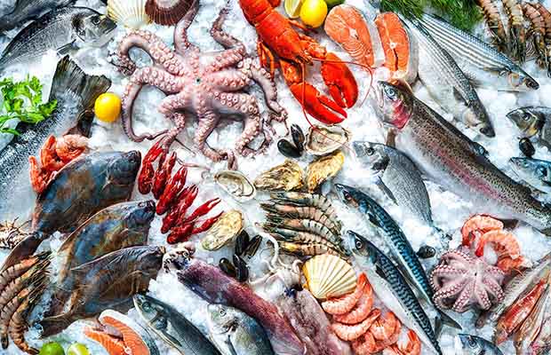 1. Bí quyết chọn hải sản tươi ngon: Mắt sáng, vỏ cứng, mùi tự nhiên
