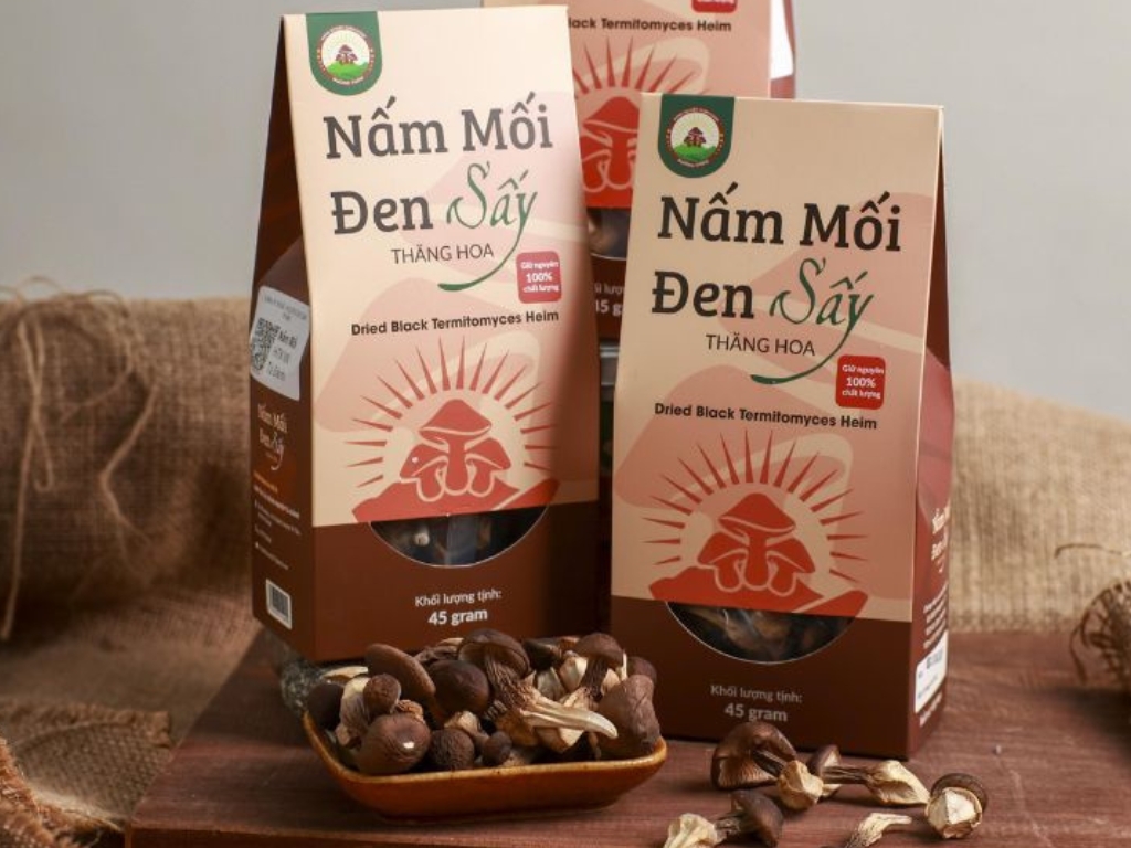 Đặt mua ngay hôm nay để thưởng thức nấm mối đen hữu cơ :