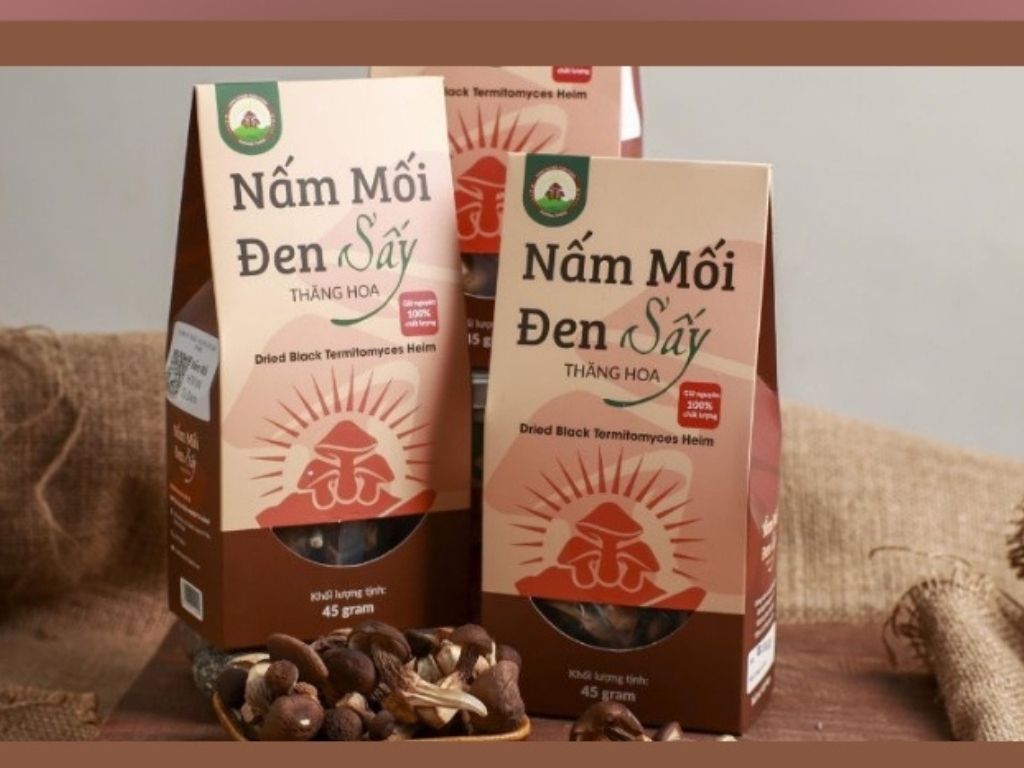 Trải nghiệm Nấm Mối Đen Sấy Thăng Hoa Hiền Nương Farm