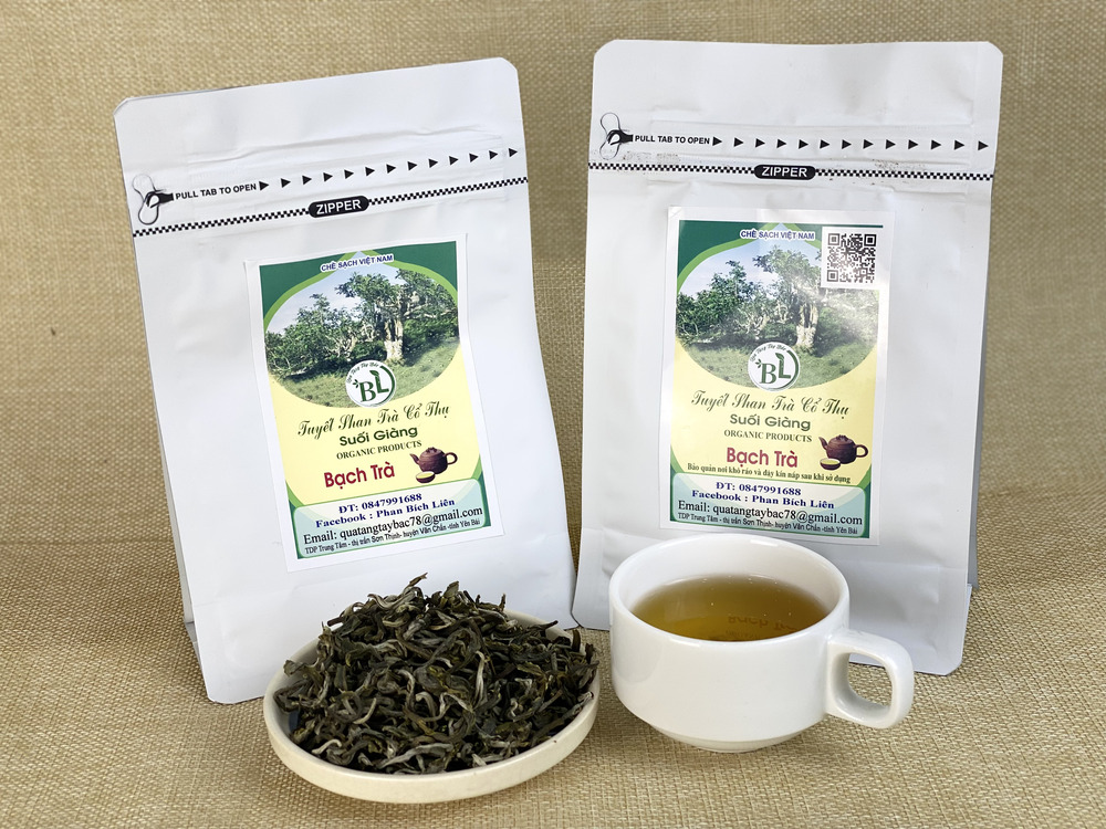 Gia nhiệt trước cho ấm trà