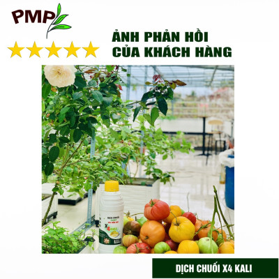 Dịch Chuối Humic X4 PMP Đậm Đặc Gấp 4 Lần - Cho hoa hồng, Hoa lan, Cây cảnh, Rau sạch 1000ml