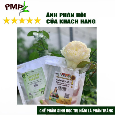 Combo Biomic Vi Sinh & Giấm Gỗ APY Cho Hoa Hồng, Rau Sạch, Cây Cảnh