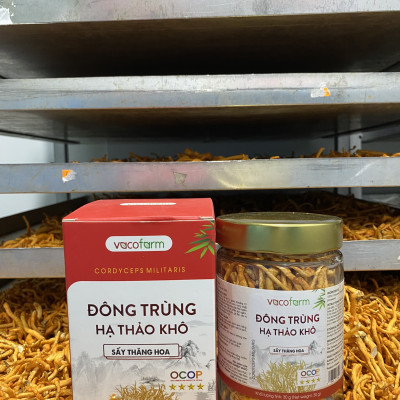 Đông trùng hạ thảo Vacofarm 30g thủy tinh sấy thăng hoa, mua 1 tặng hộp 10g,Mua 2 tặng 1 cùng loại