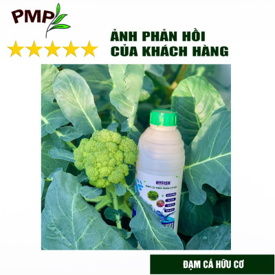 Phân đạm cá hữu cơ Hyfish PMP cho rau sạch, hoa, cây cảnh, cây ăn trái (01 lít)