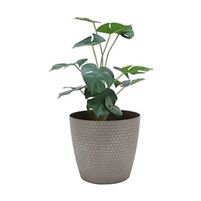 Chậu trồng cây bằng nhựa PP SANDORA màu nâu, 22x22x20 cm | Index Living Mall - Phân phối độc quyền tại Việt Nam