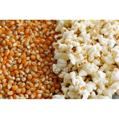 Hạt Bắp Nổ Làm Bỏng Ngô Real Food Giàu Dinh Dưỡng