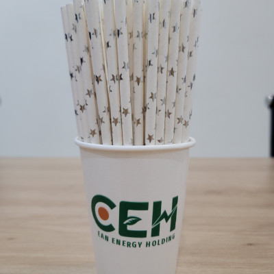 Túi 500 ống hút giấy 6x197mm hình ngôi sao dành cho cà phê, nước ngọt