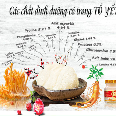 (Thùng 06 hộp )Yến Sào win