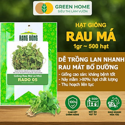 Hạt Giống Rau Má Greenhome, Gói 1g, Dễ Trồng Quanh Năm, Nảy Mầm Cao, Thu Hoạch Nhanh, Năng Suất Cao R12