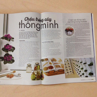 Chậu Cây Tự Dưỡng Thông Minh nhập khẩu Bồ Đào Nha giúp cây trồng tự động tưới, tự bón phân và dành cho người bận rộn nhưng yêu thiên nhiên