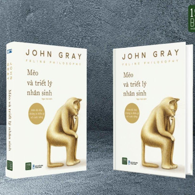 Mèo Và Triết Lý Nhân Sinh
