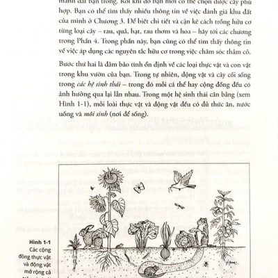 Làm Vườn Bền Vững For Dummies