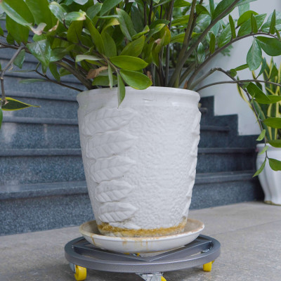 Đế lót chậu cây có bánh xe DAI NHAN, đế kê chậu cây, tròn hoặc vuông, làm bằng thép, sơn tĩnh điện, đường kính 30cm - 40cm - 50cm