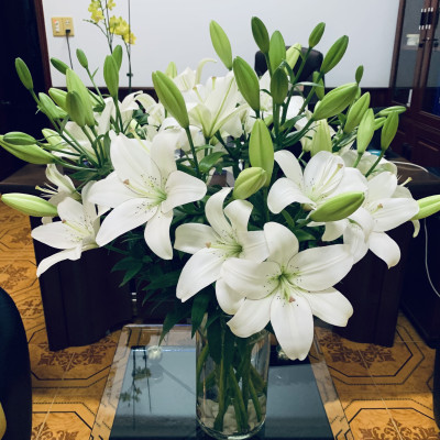 Eyeliner Lily (hoa Lily Eyeliner)