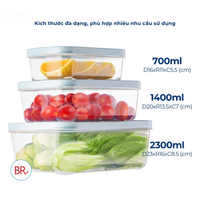 Bộ 3 hộp đựng thực phẩm chữ nhật Hokori - hàng Chính Hãng