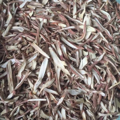 Sâm cau khô đặc sản Kon Tum (1kg) chuyên hỗ trợ cho phái mạnh