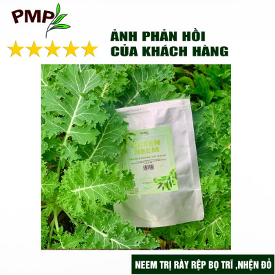 Dầu Neem Oil Hữu Cơ PMP Nguyên Chất Loại Bỏ Trĩ, Rệp, Nhện Đỏ, Nấm, Sâu Bệnh Cho Hoa Hồng, Rau Củ Green Neem 50ml-100ml