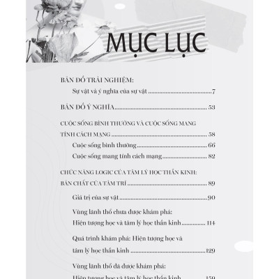 Sách - Maps Of Meaning - Giải Mã Bản Đồ Tâm Trí